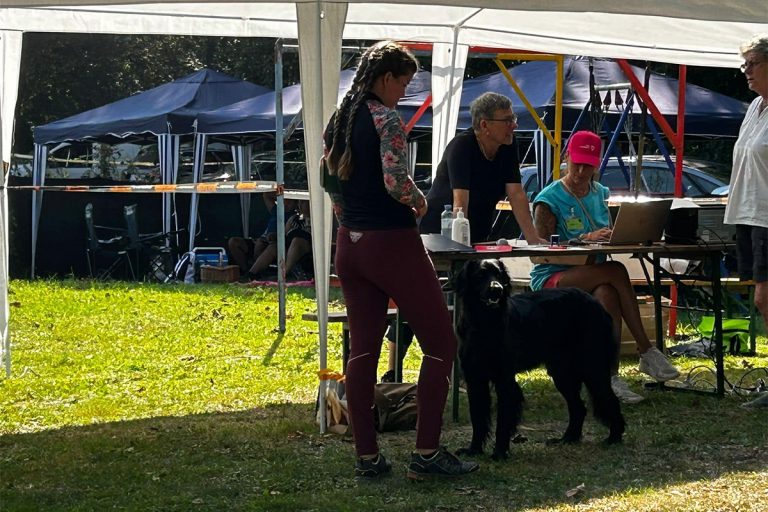 Klubsiegerschau 2024