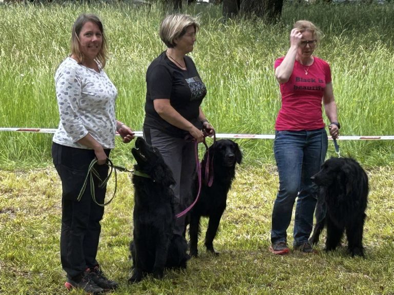 Klubsiegerschau 2025