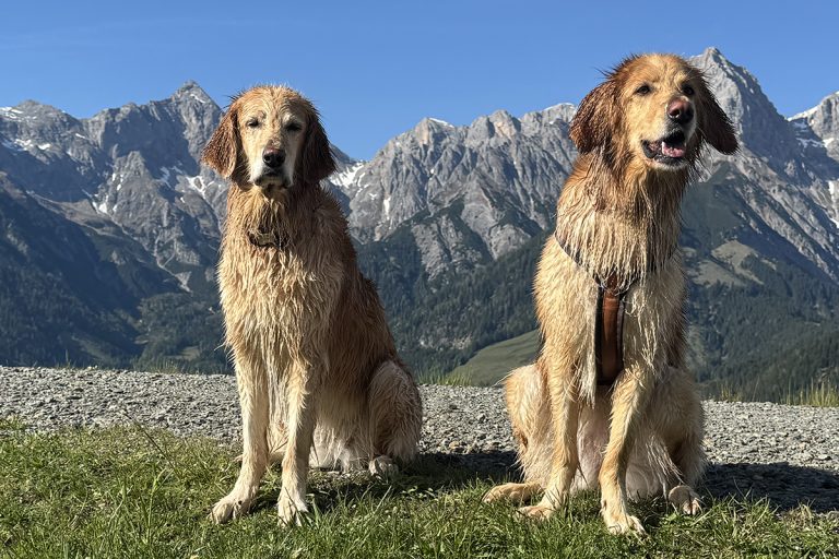 Josy & Frida beim Ausbildungswochenende in Saalfelden