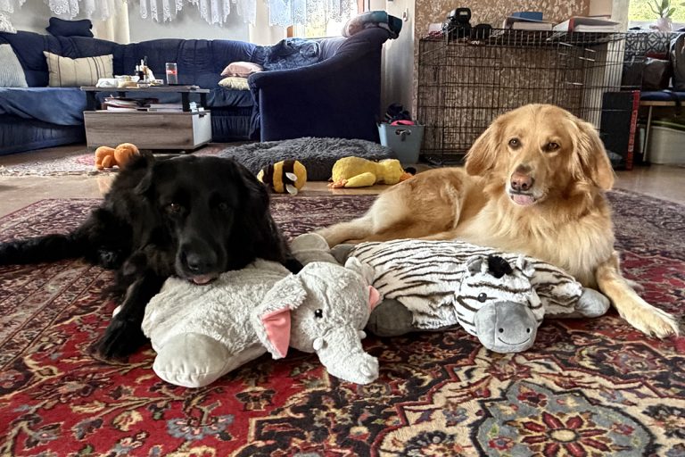 3. Geburtstag von Felice und Frida